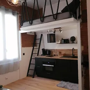 Apartamento De 20m2 En Hypercentre De, Toulouse